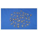 Genuine Star Fish plated in 24K Gold