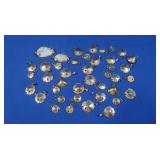 Genuine Star Fish plated in 24K Gold