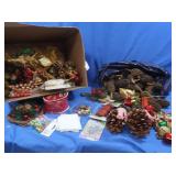 Large Variety Pine Cones & more
