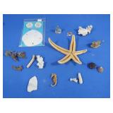 Dried Seahorses, Starfish, Fish, Coral & more