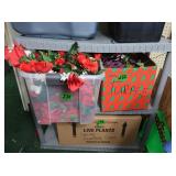 Plastic 2 Shelf Unit 3