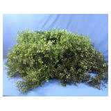 Boxwood Garland