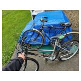 Free Spirit & Bon Terra Bikes (men & womens)