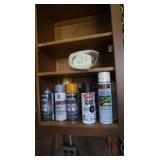 Spray Paint & Plastic Sheeting