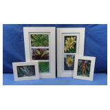 Framed Plant Photos