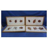 Framed Leaves Wall Art