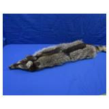 Raccoon Pelt-39"L