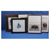 5 Framed Artwork Pictures of Wildlife&Nature