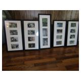 5 Framed & Wildlife Photos-4-31Lx11W, 1-25Lx9.25W