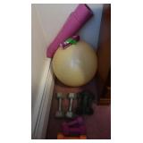Yoga Mat, Exercise Ball, Dumbbells(5,8,10 lbs)