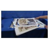 Wildlife Posters-Birds, Mammals