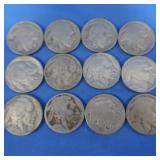 12 Buffalo Nickels, assrt