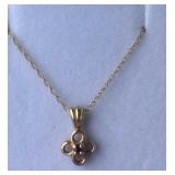 14K Ruby Pendant w/18" Chain  17gr