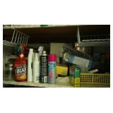 Closet Shelf contents - cleaning supplies, moth