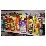 Closet shelf contents - Cleaning Supplies, Raid &