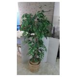 Large Faux Ficus Tree Plant in Basket - 58"