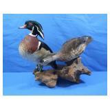 Taxidermy Wood Ducks, Male & Female