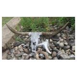 Longhorn Steer Skull, Small Ram Skull