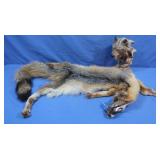 Fox Skin&Wood Sculpture