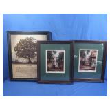 3 Framed Pictures-all signed