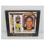10 x12 Troy Polamalu NFL licensed plaque