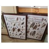 2 Framed Bird I.D. Pictures both 21x29.5",both