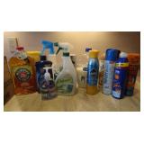 Cleaning Supplies,Partial Bottles