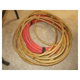 Hose
