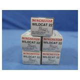 .22 Long Rifle, 250 count