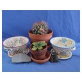 Cactus&Flower Pots