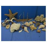 Ocean Souvenirfs-Konk Shells,Starfish,Coral
