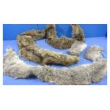 5 Fur Pelts