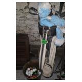 Set of Ladies PGA Golf Clubs,Pull Cart&Bucket of