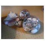 Containers of Sea Shells&Conch Shells