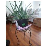 Aloe Plant w/Metal Plant Stand-19"H