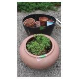 Multiple Terracotta&Plastic Planters
