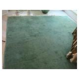 Green Area Rug -8