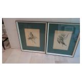 2 Paintings of Birds by J. Gould