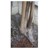 Vintage Maddock,Pick& other Maddock