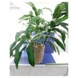 Artificial Plant w/ Basket