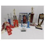 Trophy and Award Ribbon Lot