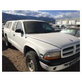 2000 DODGE DAKOTA 1B7GG22N2YS787953