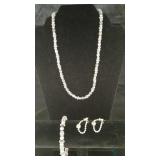 Napier Brand Necklace, Bracelet and Earring Set -