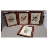 Set of 4 framed bird prints