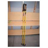 Ski Poles