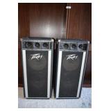 2 Peavey speakers
