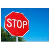 The "411" for this auction - TERMS AND CONDITION