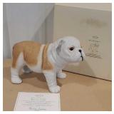 Lenox bulldog puppy