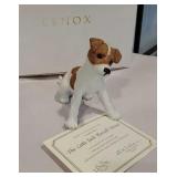 Lenox - Jack Russell terrier