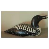 Canadian loon beak has some damage